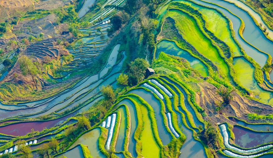 走进萝岗区TVC拍摄：解锁本地化场景与创意镜头的完美融合